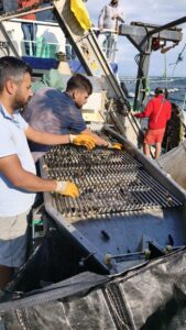 Professional Visit Mussel WANTOFISH Erasmus+ project 